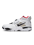 Nike Mens Air DT Protro '96 - Atlanta Falcons